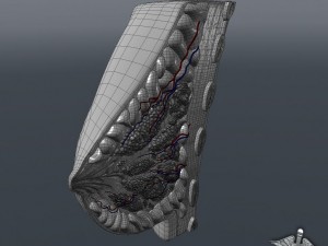 human female breast anatomy 3D Model