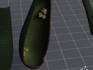 gall bladder anatomy Model 3D