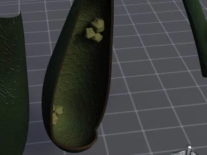 gall bladder anatomy 3D Model