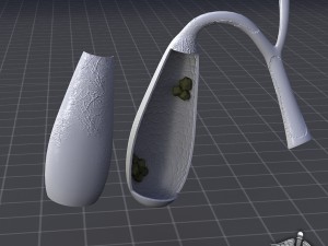 gall bladder anatomy Model 3D