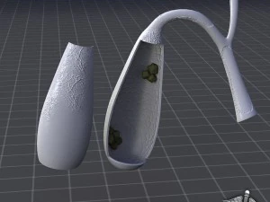 gall bladder anatomy 3D Model
