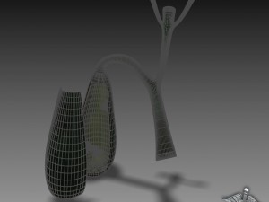 gall bladder anatomy Model 3D