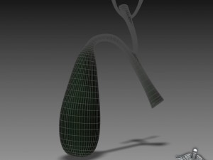 gall bladder Model 3D
