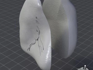 spleen anatomy 3D Model