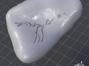 spleen 3D मॉडल