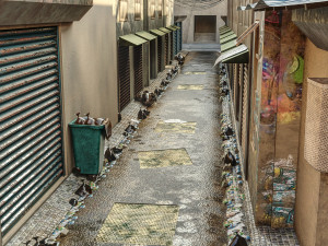 Dirty Japan Street 3D मॉडल