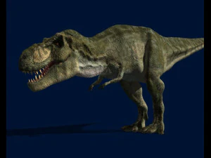 my special dinosaur pack 3D Model