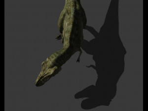 my special dinosaur pack 3D मॉडल