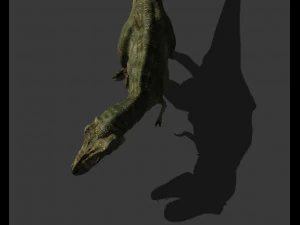 my special dinosaur pack 3D Model