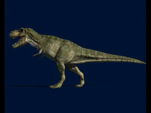 my special dinosaur pack 3D Model