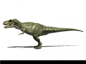 my special dinosaur pack 3D मॉडल