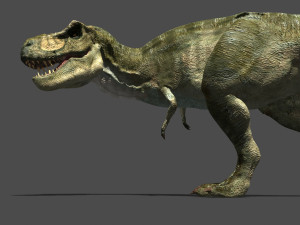 my special dinosaur pack 3D मॉडल