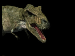 my special dinosaur pack 3D मॉडल