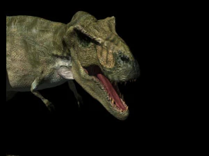 my special dinosaur pack 3D Model