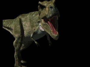 my special dinosaur pack 3D Model