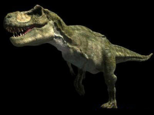 my special dinosaur pack 3D मॉडल