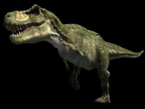 my special dinosaur pack 3D Model