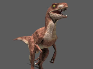 my special dinosaur pack 3D Model