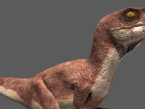 my special dinosaur pack 3D मॉडल