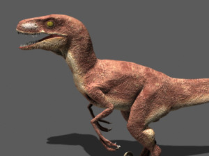 my special dinosaur pack 3D मॉडल