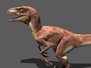 my special dinosaur pack 3D Model