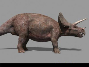 my special dinosaur pack 3D मॉडल