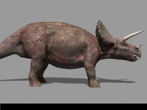 my special dinosaur pack 3D Model