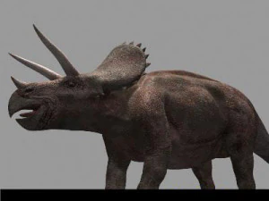 my special dinosaur pack 3D Model