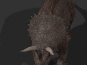 my special dinosaur pack 3D मॉडल