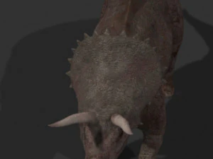 my special dinosaur pack 3D Model