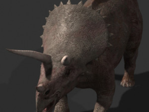 my special dinosaur pack 3D मॉडल