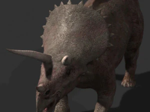my special dinosaur pack 3D Model