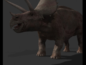 my special dinosaur pack 3D मॉडल