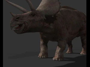 my special dinosaur pack 3D Model