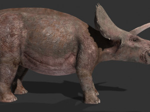 my special dinosaur pack 3D मॉडल