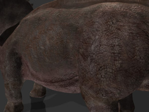 my special dinosaur pack 3D मॉडल