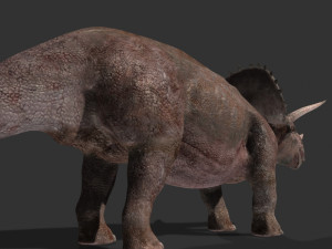my special dinosaur pack 3D मॉडल