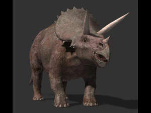 my special dinosaur pack 3D Model