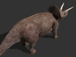 my special dinosaur pack 3D Model