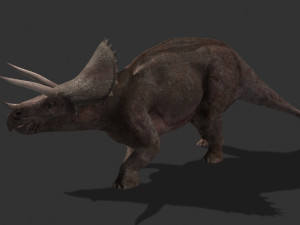 my special dinosaur pack 3D मॉडल