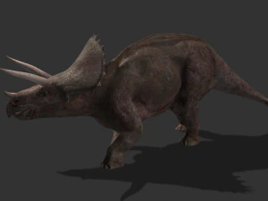 my special dinosaur pack 3D Model