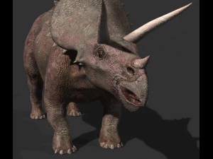 my special dinosaur pack 3D Model