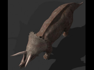 my special dinosaur pack 3D मॉडल