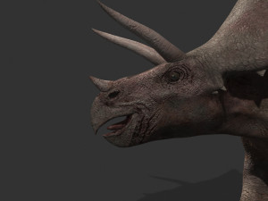 my special dinosaur pack 3D मॉडल