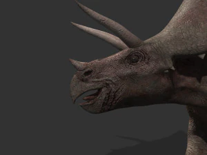 my special dinosaur pack 3D Model