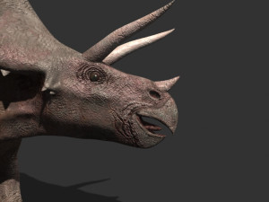 my special dinosaur pack 3D मॉडल