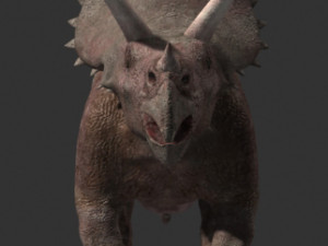 my special dinosaur pack 3D मॉडल
