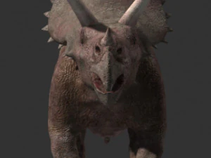my special dinosaur pack 3D Model