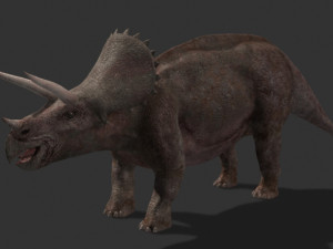 my special dinosaur pack 3D मॉडल