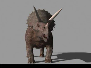 my special dinosaur pack 3D Model